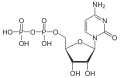Cytidindiphosphat (CDP)