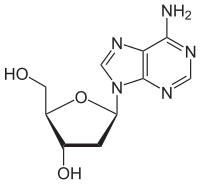 Strukturformel von Desoxyadenosin