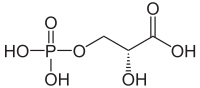 Strukturformel von 3-Phosphoglycerinsäure