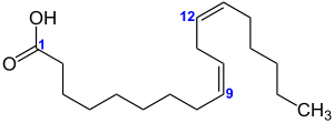 Struktur von Linolsäure