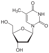 Strukturformel von Desoxythymidin