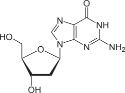 Strukturformel von Desoxyguanosin