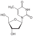 Desoxythymidin