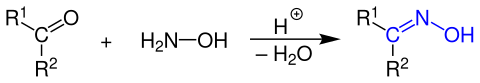 Allgemeine Reaktionsgleichung der Oxim-Bildung aus einer Carbonylverbindung und Hydroxylamin unter sauren Bedingungen