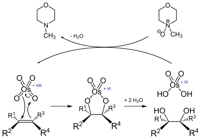 Reaktion eines Alkens mit Osmiumtetroxid