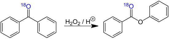 Baeyer-Villiger-Oxidation (Markierungsexperiment)