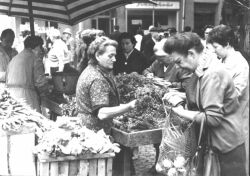 Markttage in Jena um 1965