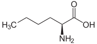 Struktur von L-Norleucin