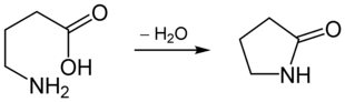 Bildung von γ-Butyrolactam