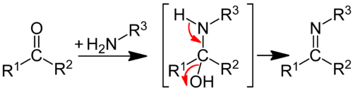 Darstellung eines Imins aus einem Aldehyd oder Keton
