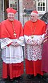 Kardinäle in karminroter Kleidung