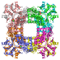 Glycerin-Dehydrogenase