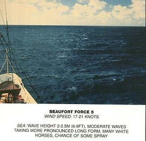 Beaufort scale 5.jpg