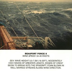 Beaufort scale 8.jpg