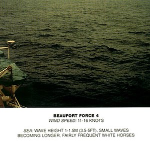 Beaufort scale 4.jpg
