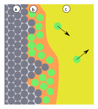 Adsorption-rough surface.svg